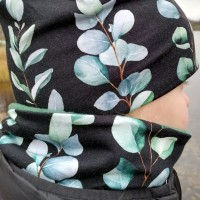 Kauluri lehtiköynnös